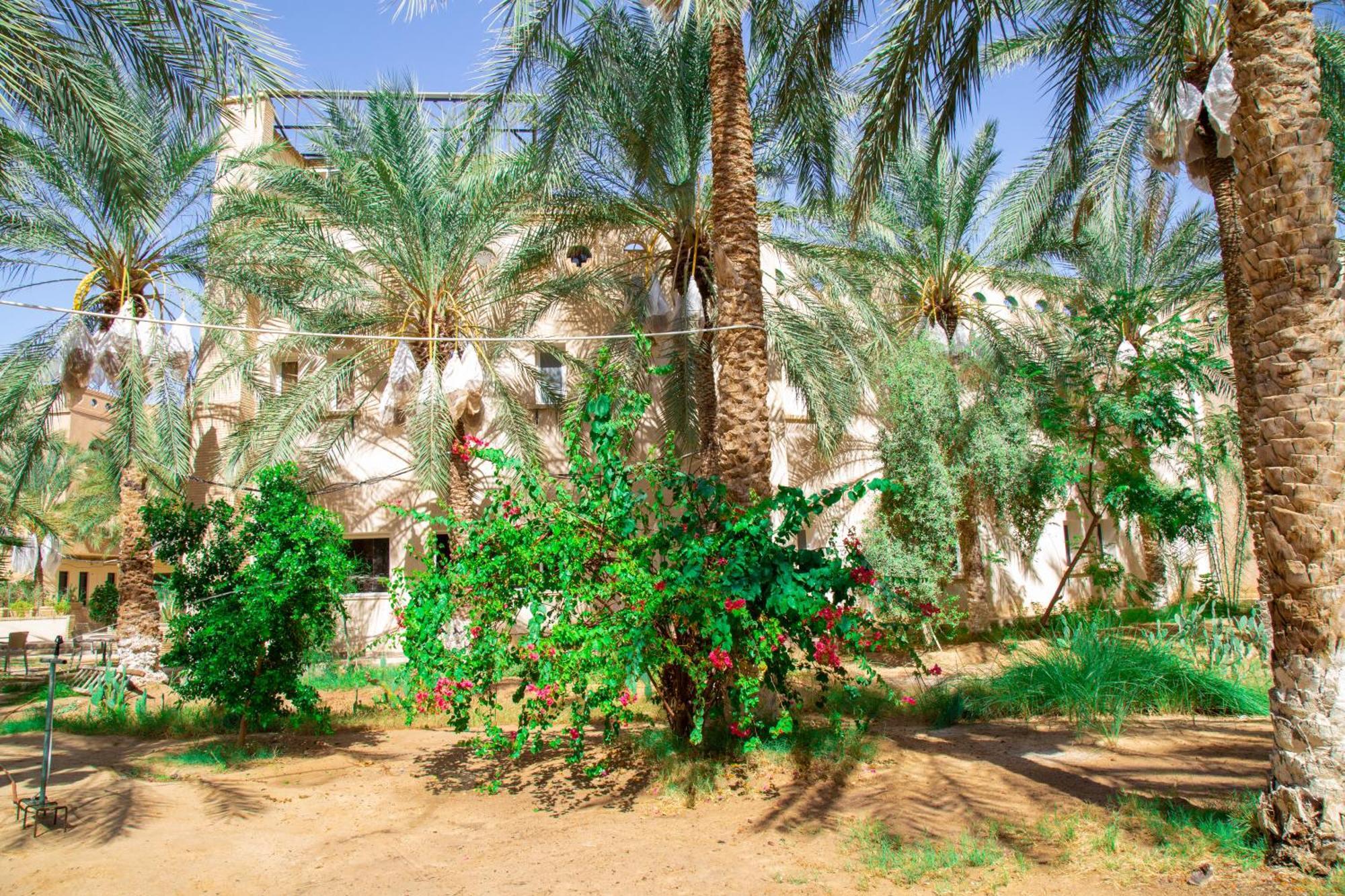 Residence El Arich Таузар Екстер'єр фото
